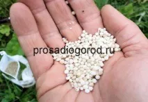 прилагане карбамид