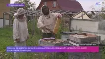 пчеларите националният