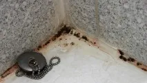 ефективни методи