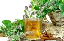 Народні засоби та продукти від паразитів засоби
