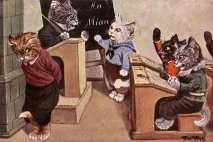 Не можна! як карати котів, щоб їм за це нічого не було нічого