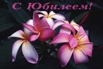 Можна почати нове життя у 60 років. життя