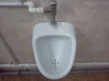 насекоми ефективни