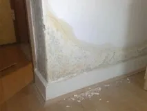 насекоми банята