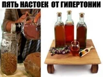 кръвното налягане тинктура