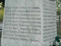 травники травники