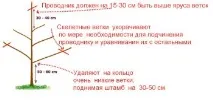 време време