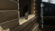 обсада корпусна