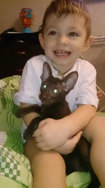 котки котки