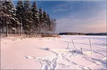 Чому випадає кольоровий сніг - випаде сніг випадає