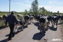 живуть