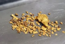 защо можете