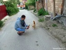 село