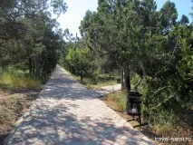 село