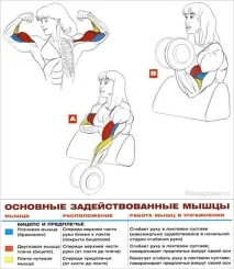 гири повдигане