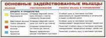 Підйом гантелі на біцепс в лаві Скотта, Вправи для рук (біцепс та передпліччя) - бодібілдінг, підйом