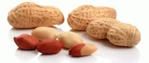 Користь та шкода арахісу продукт