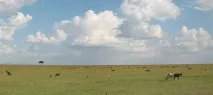 Повнотомір, місто Шахти шахти