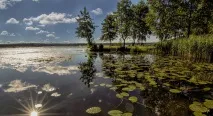 центрове центрове