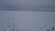 Озеро Комкуль (Ком-Куль) Кунашакського району Челябінської області озеро