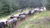 украйна украйна