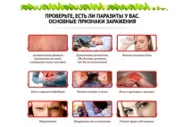 тяло човешкото