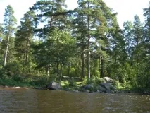 Озеро Соколине у Ленінградській області озеро