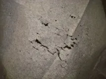 Полювання на мух чи час лікуватися полювання