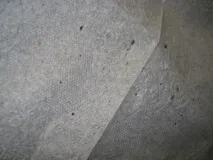 Полювання на мух чи час лікуватися лікуватися