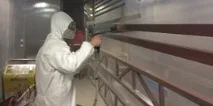 Фарбування, Школа ремонту фарбування