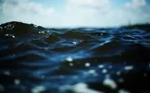 Чому не можна пити морську воду пити