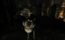 Отримання Вихованців в Skyrim - Софт портал ігор отримання