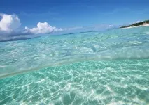 Чому не можна пити морську воду чому