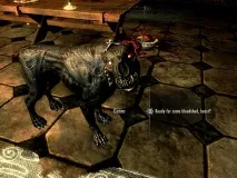 Отримання Вихованців в Skyrim - Софт портал ігор skyrim