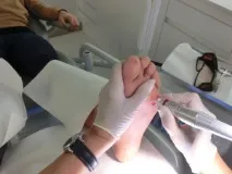 всички видове всички видове