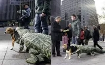 Літній чоловік, який щодня вигулює свого літнього собаку - Смішні Анекдоти Історії Цитати чоловік