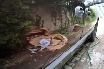 това което препоръчайте