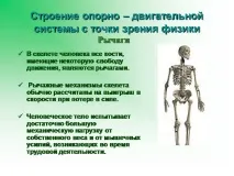 здраве поддържане