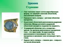 поддържане темата