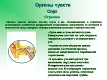 презентация презентация