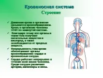 презентация презентация