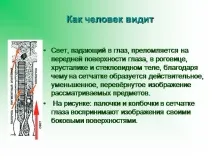 темата презентация