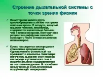 здраве здраве