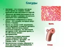 презентация темата