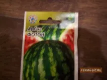 Посадка кавунів на розсаду, Домашня ферма посадка