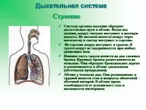 презентация темата