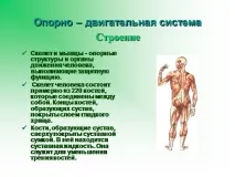 презентация презентация
