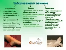 поддържане презентация