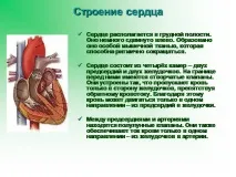 темата поддържане