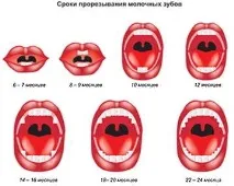 диаграма зъби
